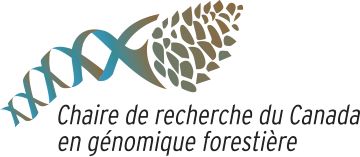 Chaire du Canada en génomique forestière